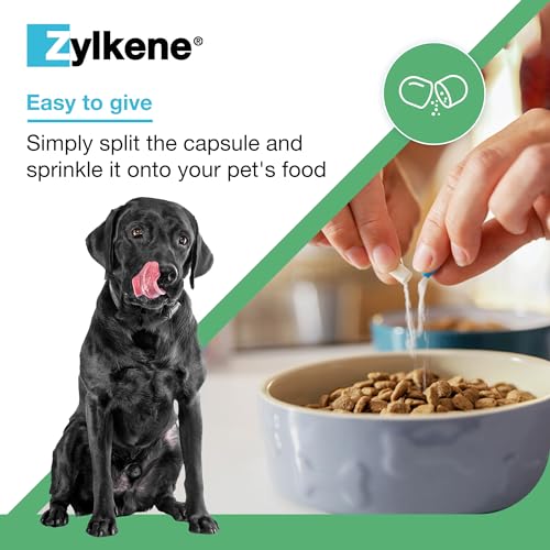 Zylkene Calming Supplements for Cats & Dogs up to 10kg 75mg | Promotes Relaxation | Helps Pets cope with Short-Term challenging situations: Loud Noises | Easily Administered | Capsules