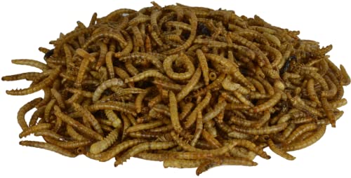 Supa Dried Mealworms for Wild Birds, 3 Litre Bucket, High Energy Protein Rich Treat For Garden Birds, Attract More Birds To Your Garden, Quality Wild Bird Food.