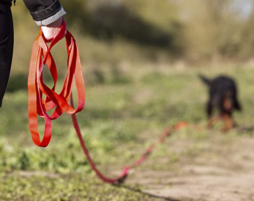 Maximum Pet Products 65ft 20M Dog & Horse Training Lunge Lead. 25mm - 1" Wide. Very Strong
