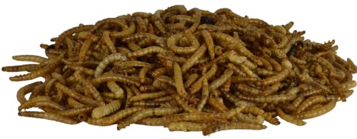 Supa Dried Mealworms for Wild Birds, 3 Litre Bucket, High Energy Protein Rich Treat For Garden Birds, Attract More Birds To Your Garden, Quality Wild Bird Food.