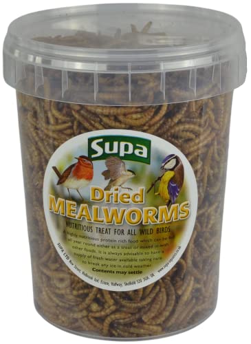 Supa Dried Mealworms for Wild Birds, 3 Litre Bucket, High Energy Protein Rich Treat For Garden Birds, Attract More Birds To Your Garden, Quality Wild Bird Food.