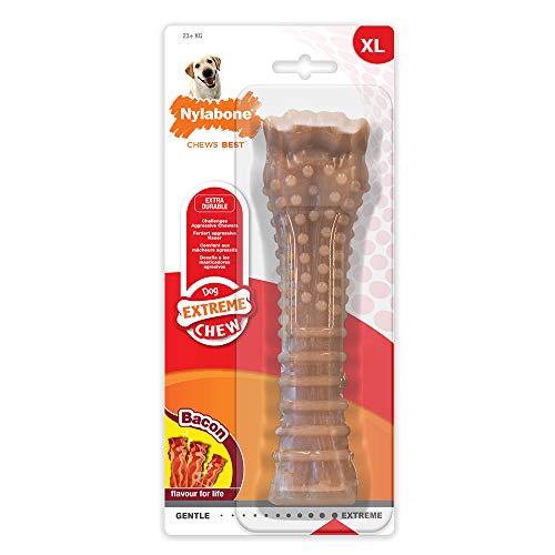 Nylabone Dura Chew Extreme Tough Dog Chew Toy Bone, Bacon Flavour, XS, for Dogs Up to 7 kg