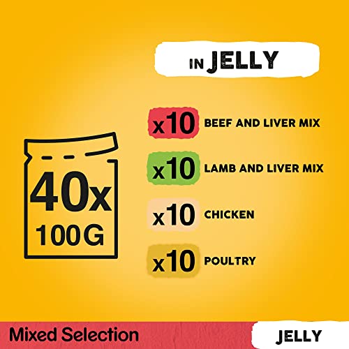 Pedigree Mixed Selection in Jelly 40 Pouches, Adult Wet Dog Food, Megapack (40 x 100 g)