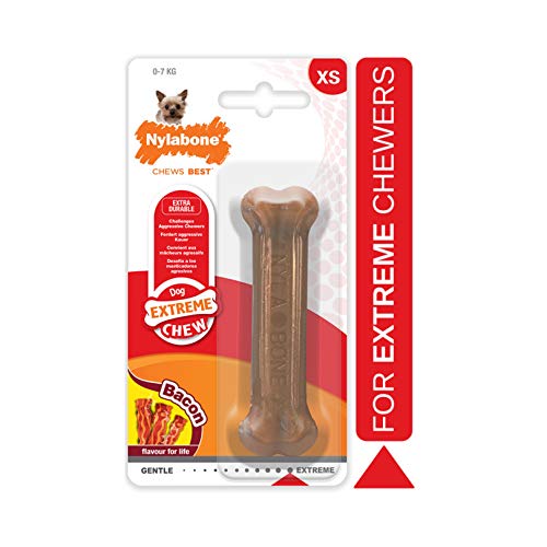 Nylabone Dura Chew Extreme Tough Dog Chew Toy Bone, Bacon Flavour, XS, for Dogs Up to 7 kg