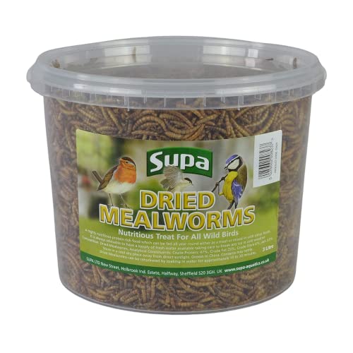 Supa Dried Mealworms for Wild Birds, 3 Litre Bucket, High Energy Protein Rich Treat For Garden Birds, Attract More Birds To Your Garden, Quality Wild Bird Food.