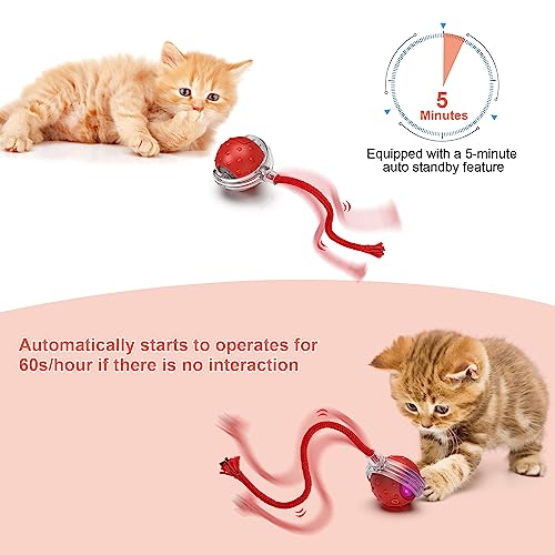 IOKHEIRA Interactive Cat Toy Electric Automatic Cat Toys for Indoor Cats,Rechargeable Irregular Moving Cat Toys,Stimulate Cats' Hunting Instincts, for Indoor Cats Adult,All Floors & Carpet Available