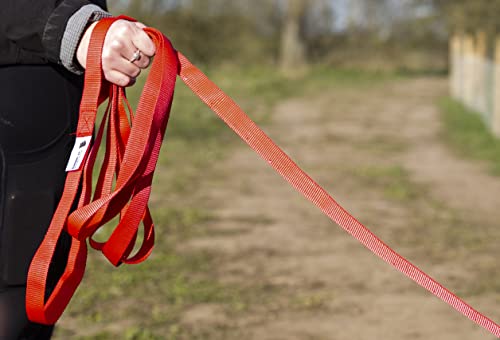 Maximum Pet Products 65ft 20M Dog & Horse Training Lunge Lead. 25mm - 1" Wide. Very Strong