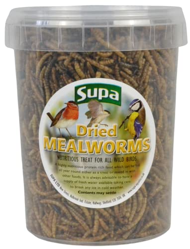 Supa Dried Mealworms for Wild Birds, 3 Litre Bucket, High Energy Protein Rich Treat For Garden Birds, Attract More Birds To Your Garden, Quality Wild Bird Food.