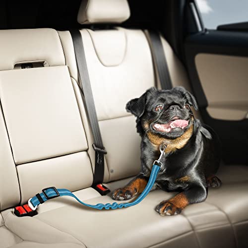 Seat Belt for dogs with Anti shock Bungee Buffer One of Important Car Travel Accessories for Dogs Adjustible, Elastic
