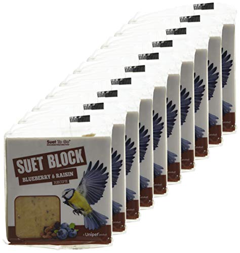 Suet To Go Mealworm Suet Block Wild Bird Treat