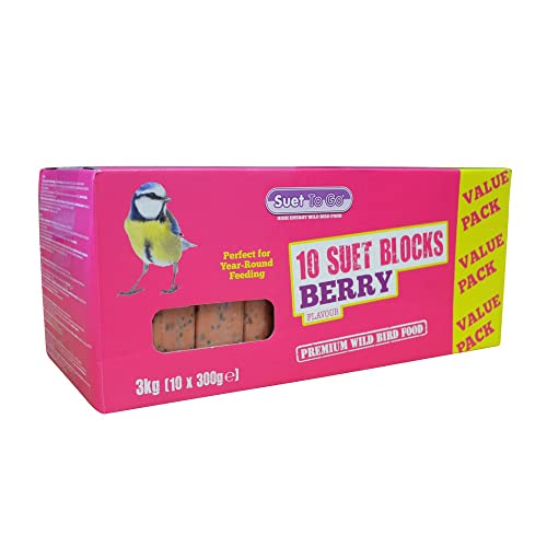 Suet To Go Mealworm Suet Block Wild Bird Treat