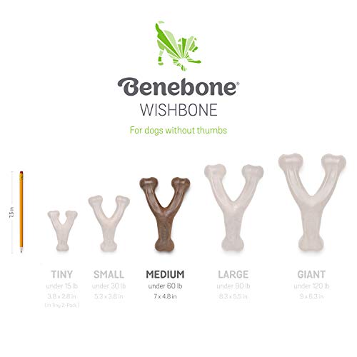 Benebone Indestructible Wishbone Dog Chew Toy for Aggressive Chewers, Long Lasting Tough Boredom Breaker for Dogs, Real Bacon Flavour, For Medium Dogs