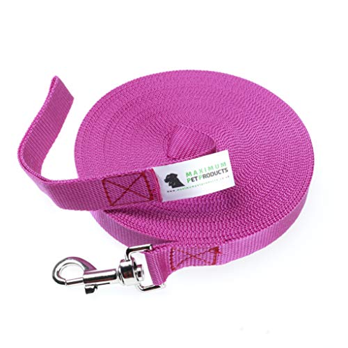 Maximum Pet Products 65ft 20M Dog & Horse Training Lunge Lead. 25mm - 1" Wide. Very Strong
