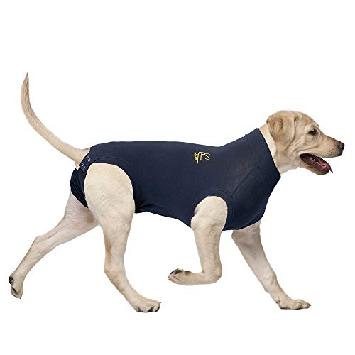 MPS Medical Pet Shirt Dog, Surgery Recovery Suit