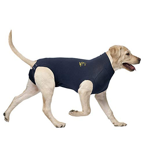 MPS Medical Pet Shirt Dog, Surgery Recovery Suit