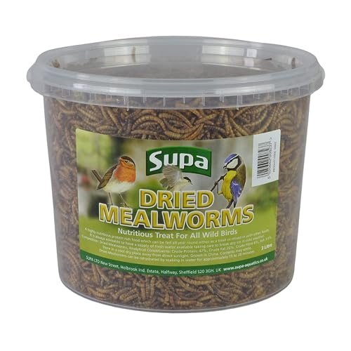 Supa Dried Mealworms for Wild Birds, 3 Litre Bucket, High Energy Protein Rich Treat For Garden Birds, Attract More Birds To Your Garden, Quality Wild Bird Food.