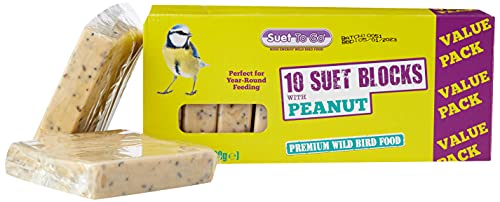 Suet To Go Mealworm Suet Block Wild Bird Treat