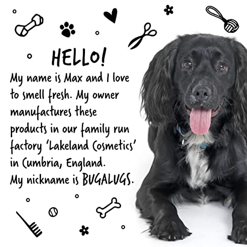 Dog Shampoo by Bugalugs lavender & chamomile 4 in 1 dog grooming shampoo products for smelly dogs with fragrance, best puppy shampoo, professional groom Vegan pet shampoo & conditioner
