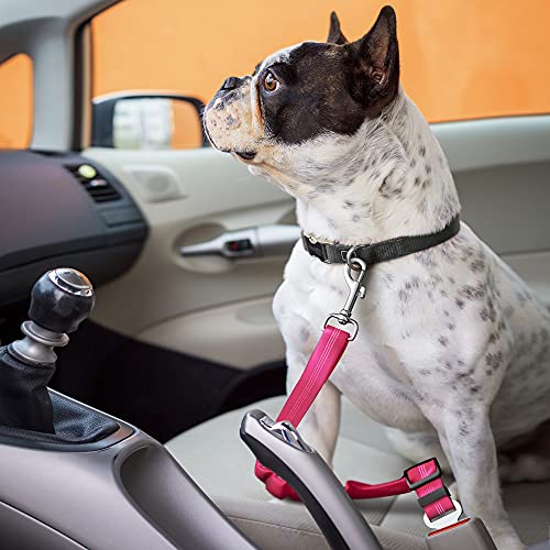 Seat Belt for dogs with Anti shock Bungee Buffer One of Important Car Travel Accessories for Dogs Adjustible, Elastic