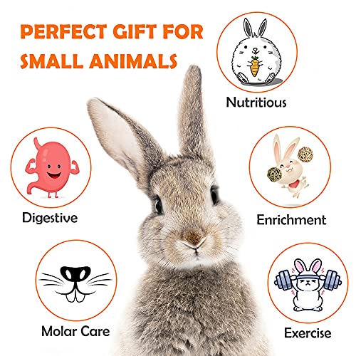 Labeol Rabbit Chew Toys 32 Pcs Timothy Hay Sticks Natural Small Animals Treat for Rabbits Guinea Pig Hamsters Chinchilla Rabbit Accessories Boredom Breaker