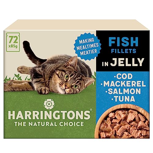Harringtons Wet Cat Food Mixed in Jelly