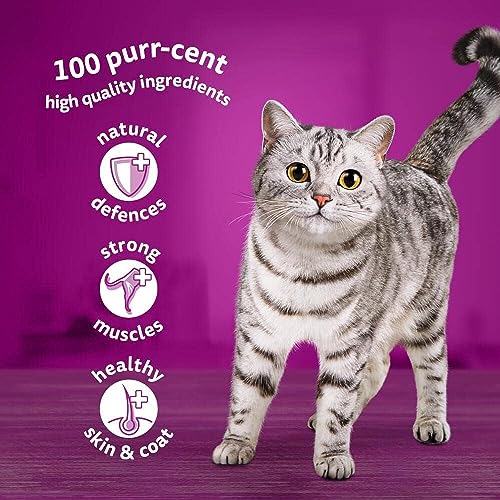 Whiskas 1+ Adult Mixed Selection in Jelly 84 Pouches, Adult Wet Cat Food, Megapack
