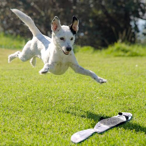Newthinking No Stuffing Dog Toys, 5 Pack Dog Squeaky Toys, Durable Plush Dog Toys for Large Medium Small Dog