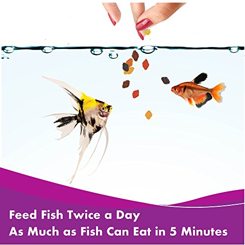 AQUARIAN Complete Nutrition, Aquarium Tropical & Temperate Fish Food Flakes