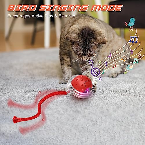 IOKHEIRA Interactive Cat Toy Electric Automatic Cat Toys for Indoor Cats,Rechargeable Irregular Moving Cat Toys,Stimulate Cats' Hunting Instincts, for Indoor Cats Adult,All Floors & Carpet Available