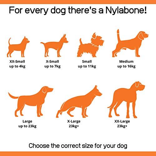 Nylabone Dura Chew Extreme Tough Dog Chew Toy Bone, Bacon Flavour, XS, for Dogs Up to 7 kg
