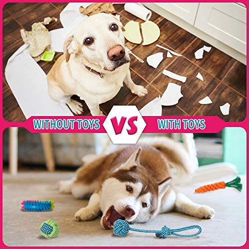 Labeol Puppy Chew Toys from 8 Weeks Small Puppy Natural Cotton Interactive 10Pcs Indestructible Tough Dog Rope Toys for Strong Dogs