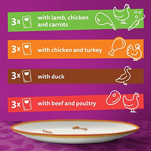 Whiskas 1+ Adult Mixed Selection in Jelly 84 Pouches, Adult Wet Cat Food, Megapack