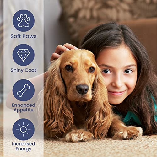 Brilliant Salmon Oil for Dogs, Cats, Puppy, Horse, Ferret & Pets - Pure Omega 3, 6 & 9 Fish Oil Food Supplement | Treats Itchy Skin, Joint Care, Heart Health & Natural Coat Hofseth BioCare