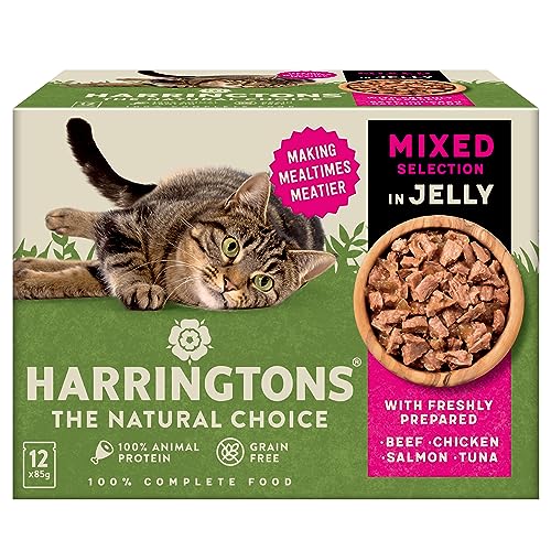 Harringtons Wet Cat Food Mixed in Jelly