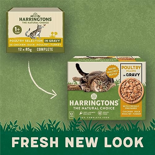 Harringtons Wet Cat Food Mixed in Jelly