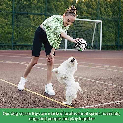 HETOO Dog Toys, Interactive Dog Football Toys with Grab Tabs, Durable Dog Balls for Small Medium Breed Dog Water Toy Indoor & Outdoor, Gift for Dogs