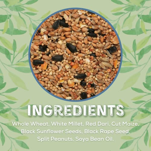 Copdock Mill Wild Bird Seed & Grain Mix 20kg Bag – All Year-Round High-Energy Wild Bird Food – 100% Natural Ingredients Including Sunflower Seeds and Peanuts