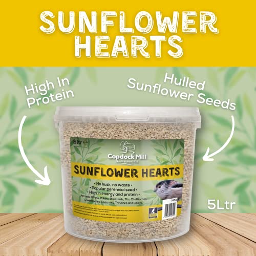 Copdock Mill Sunflower Hearts Bird Food 3.2kg / 5L Tub – No Mess Sunflower Hearts for Wild Birds – Bird Seed Suitable for Sunflower Seeds Feeders & Bird Tables