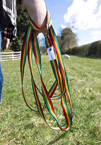 Maximum Pet Products 65ft 20M Dog & Horse Training Lunge Lead. 25mm - 1" Wide. Very Strong