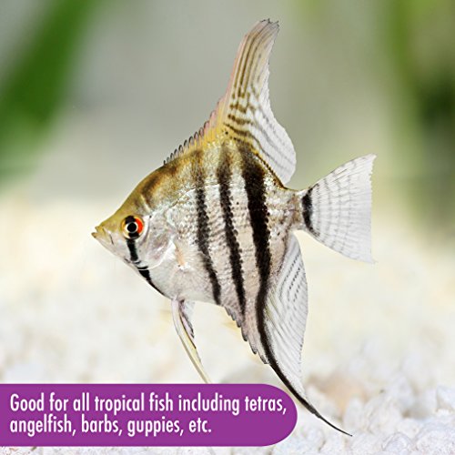 AQUARIAN Complete Nutrition, Aquarium Tropical & Temperate Fish Food Flakes
