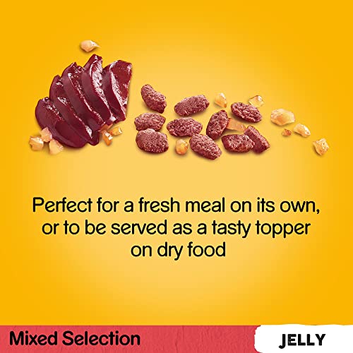 Pedigree Mixed Selection in Jelly 40 Pouches, Adult Wet Dog Food, Megapack (40 x 100 g)