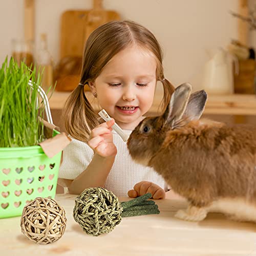 Labeol Rabbit Chew Toys 32 Pcs Timothy Hay Sticks Natural Small Animals Treat for Rabbits Guinea Pig Hamsters Chinchilla Rabbit Accessories Boredom Breaker