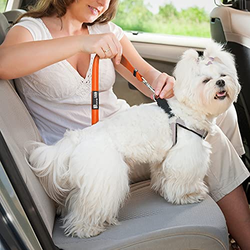 Seat Belt for dogs with Anti shock Bungee Buffer One of Important Car Travel Accessories for Dogs Adjustible, Elastic