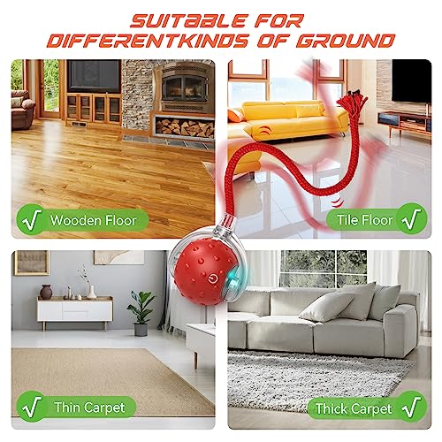 IOKHEIRA Interactive Cat Toy Electric Automatic Cat Toys for Indoor Cats,Rechargeable Irregular Moving Cat Toys,Stimulate Cats' Hunting Instincts, for Indoor Cats Adult,All Floors & Carpet Available