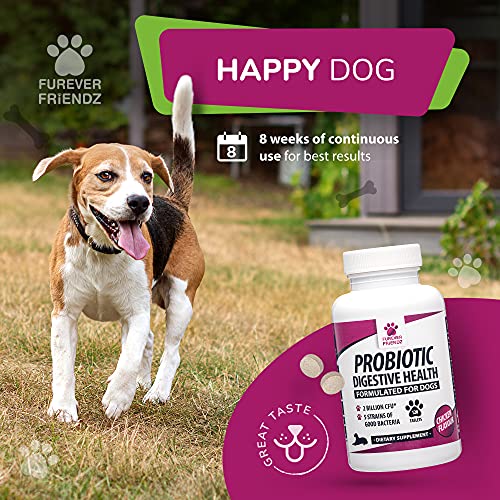 Pet Probiotics for Dogs Tablet – Chicken Flavour Dog Digestive Supplements with Enzymes, Bromelain & Prebiotic for Dogs – No Gluten, GMO, Soy or Dairy – Dog Probiotic by Furever Friendz