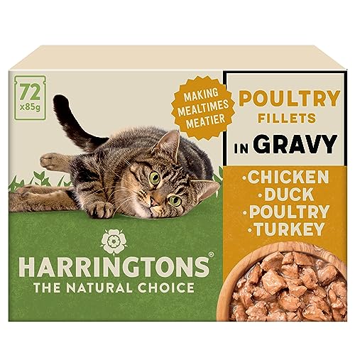 Harringtons Wet Cat Food Mixed in Jelly