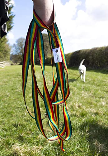 Maximum Pet Products 65ft 20M Dog & Horse Training Lunge Lead. 25mm - 1" Wide. Very Strong
