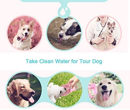 COTOP Portable Dog Water Bottle, 350/550ml Dog Walking Travel Bottle Puppy Water Leak Proof Drinking Dispenser Food Grade Dog Hot Water Drink Bottle , Pet Outdoor Drinking Cup Dog Gift