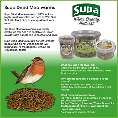 Supa Dried Mealworms for Wild Birds, 3 Litre Bucket, High Energy Protein Rich Treat For Garden Birds, Attract More Birds To Your Garden, Quality Wild Bird Food.
