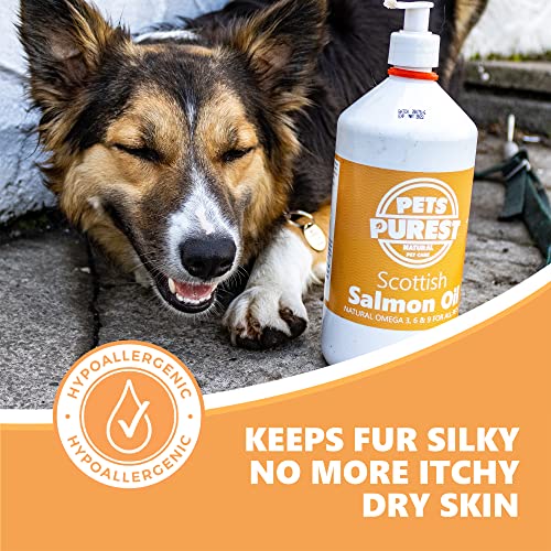 Pets Purest Scottish Salmon Oil For Dogs, Cats, Horse, Ferret & Pet - Pure Omega 3, 6 & 9 Fish Oil Food Treats Supplement for Natural Coat, Immune Support, Itchy Skin, Joint & Brain Health